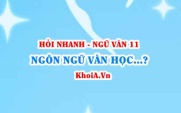 Ngôn ngữ văn học là gì? Cách giải thích nghĩa của từ? Ngữ Văn lớp 11